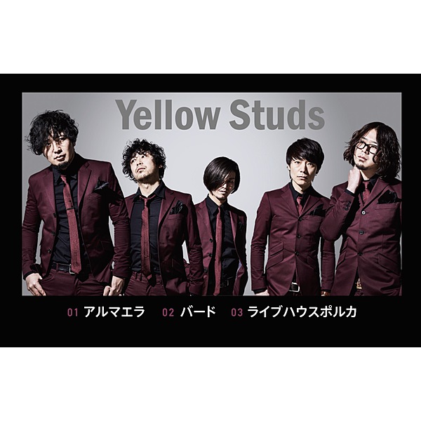 Yellow Studs / VR MUSIC Live Yellow Studs