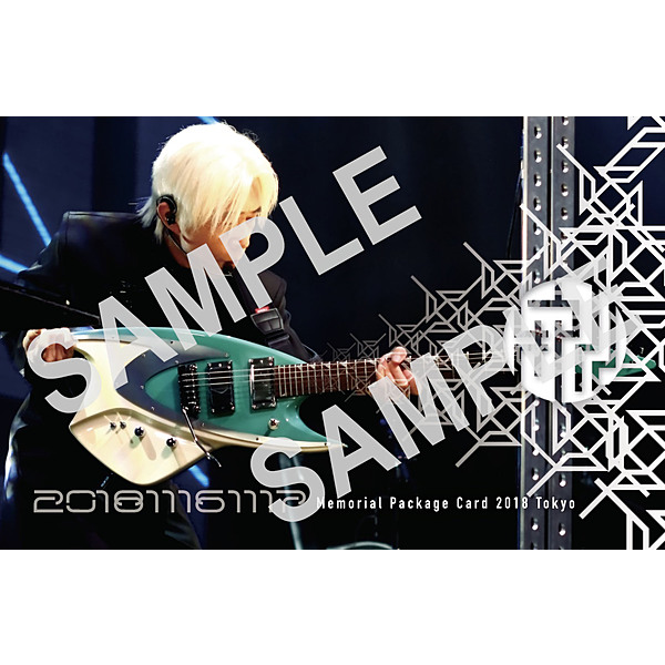 平沢進・核P-MODEL / 平沢進・核P-MODEL エムカード東京公演